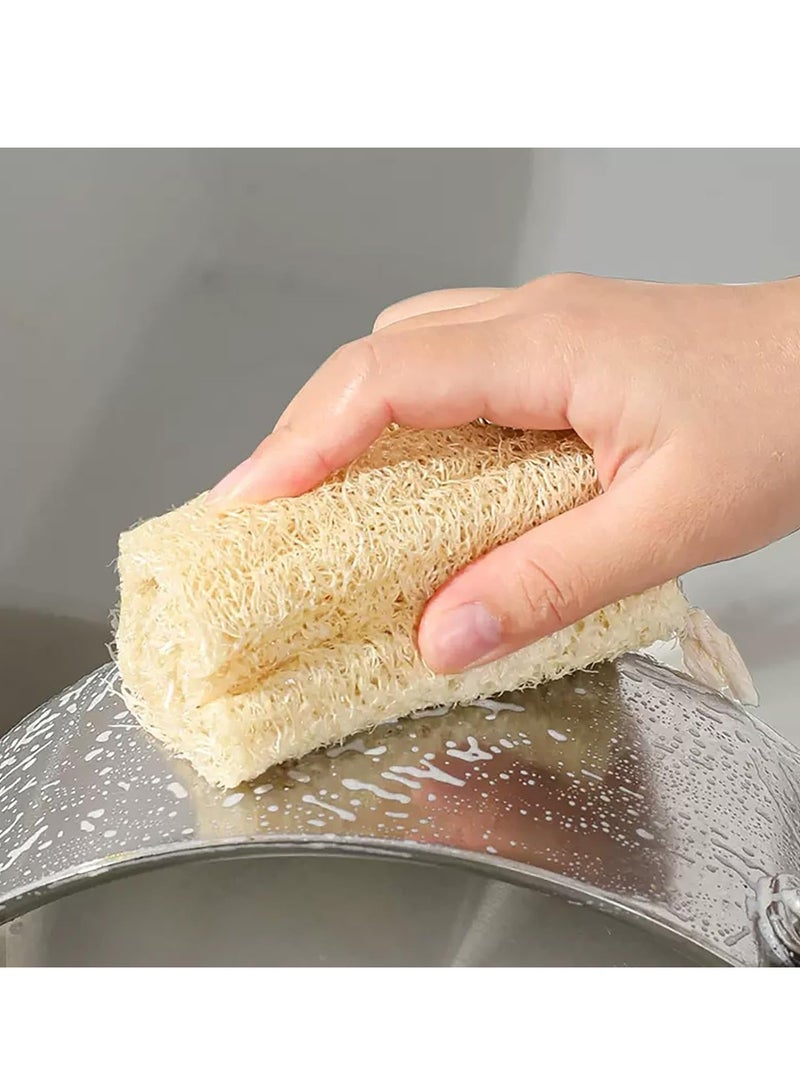 أوزيغالور 3 قطع ليفة طبيعية لتنظيف المطبخ والقدور والأطباق وأسطح غير لاصقة - Image 4