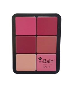 12-Colour Professional Blusher Palette Multicolour - pzsku/Z1666EC7B1104F7FB9858Z/45/_/1653216481/83477198-113e-45f2-88af-7a1bc5cc4f73