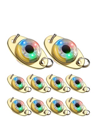Led Fishing Lights Fish Lures Kit Long Life Time Underwater LED Lighted Bait Flasher Get Fish's Attention for Offshore Inshore Boat Deep Sea 10PCS - pzsku/Z166742D09F58D7762E62Z/45/_/1700812992/d9799423-5ff9-456e-81fe-def0644fe162