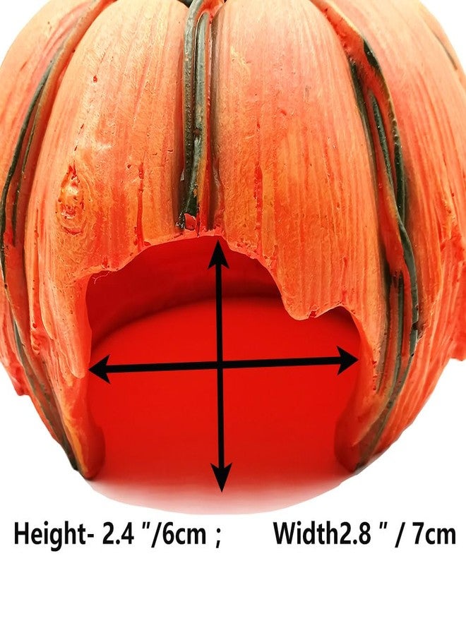 Shelltech Reptile Hideout Resin Aquarium Decoration Pumpkin House for Small Fish,Shrimps,Frogs,Gecko, Spider (Pumpkin - 6.6×6.3×4.5 in) - Image 4