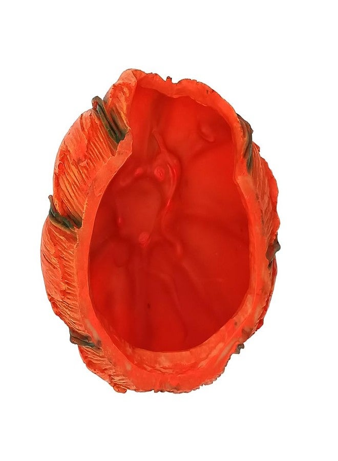 Shelltech Reptile Hideout Resin Aquarium Decoration Pumpkin House for Small Fish,Shrimps,Frogs,Gecko, Spider (Pumpkin - 6.6×6.3×4.5 in) - Image 5