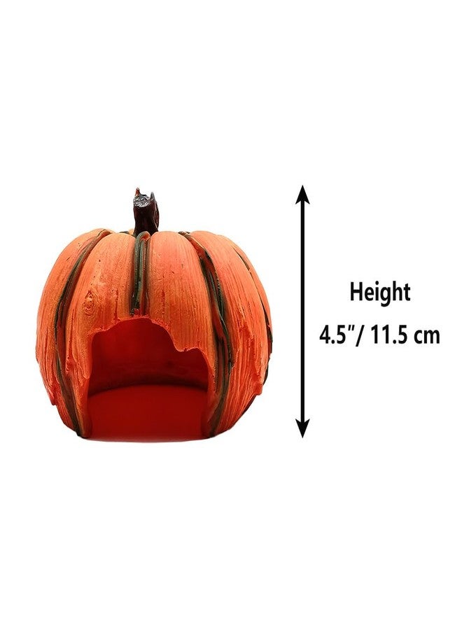Shelltech Reptile Hideout Resin Aquarium Decoration Pumpkin House for Small Fish,Shrimps,Frogs,Gecko, Spider (Pumpkin - 6.6×6.3×4.5 in) - Image 2