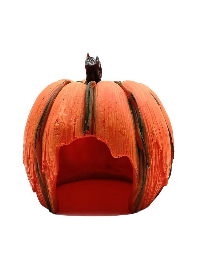 Shelltech Reptile Hideout Resin Aquarium Decoration Pumpkin House for Small Fish,Shrimps,Frogs,Gecko, Spider (Pumpkin - 6.6×6.3×4.5 in) - Image 1