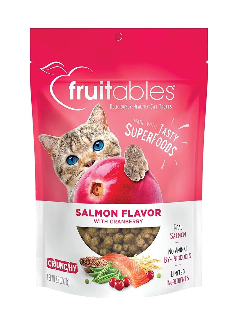 Fruitables Salmon Flavor with Cranberry Cat Treats 70g - Image 1
