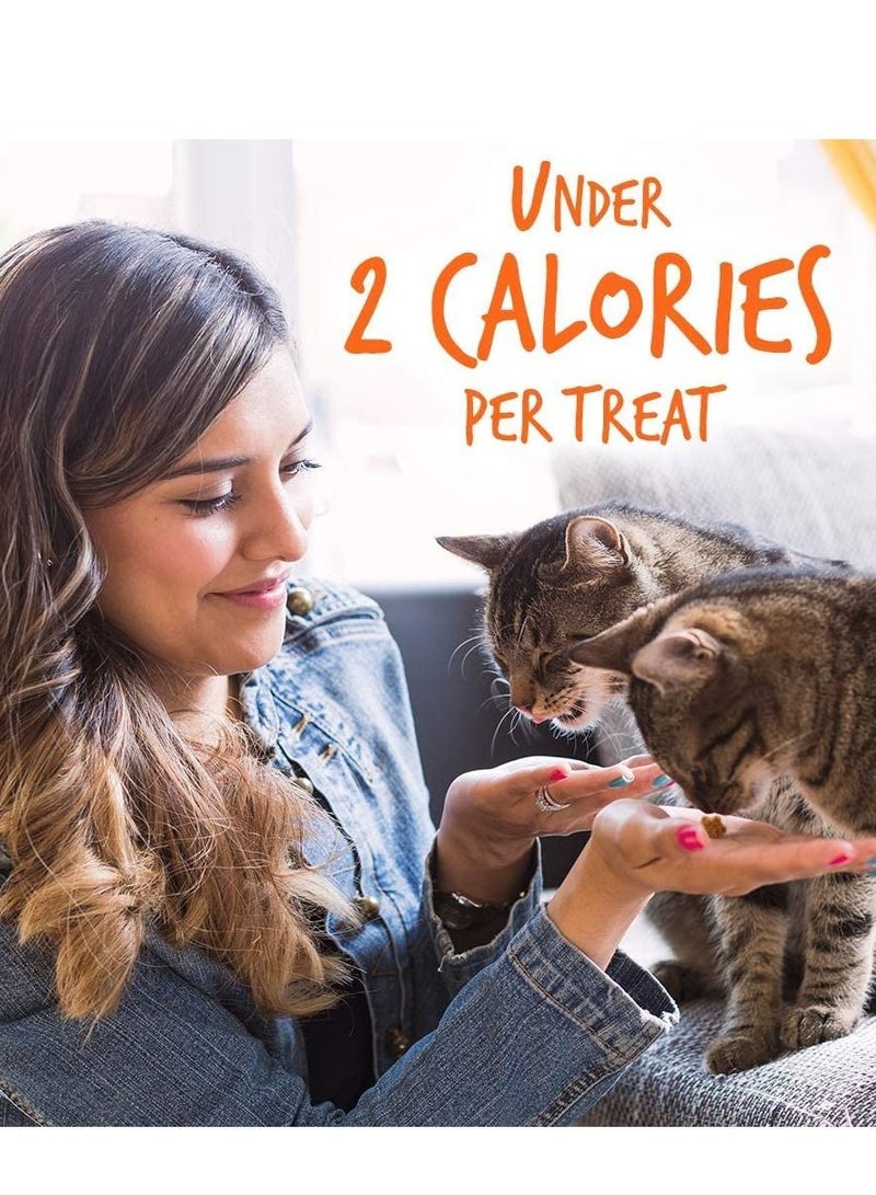 Fruitables Salmon Flavor with Cranberry Cat Treats 70g - Image 3