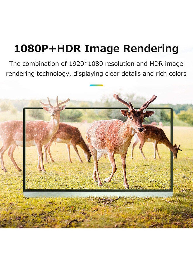 Generic - 15.6 inch Portable Monitor IPS Screen 1920*1080 Resolution 170° Viewing Angle 60Hz Refresh Rate Wide Compatibility Silver UK Plug - Image 1