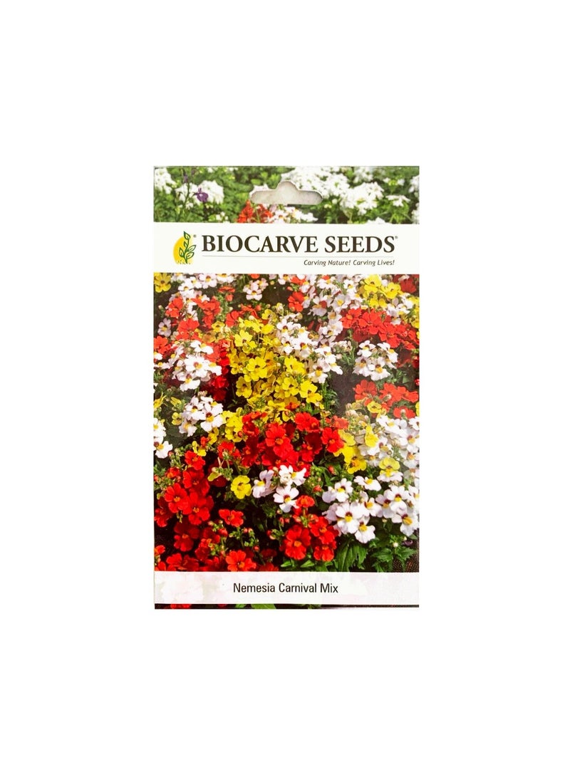 BIOCARVE SEEDS Nemesia Carnival Mix Flower Seeds