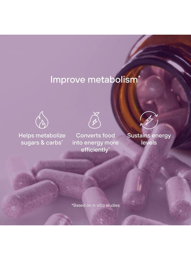 Pendulum Metabolic Daily - Multi-Strain Probiotic with Akkermansia Muciniphila to Support Metabolism and Sustain Energy Levels - for Women and Men - 90 Capsules (1 Pack) - Image 2