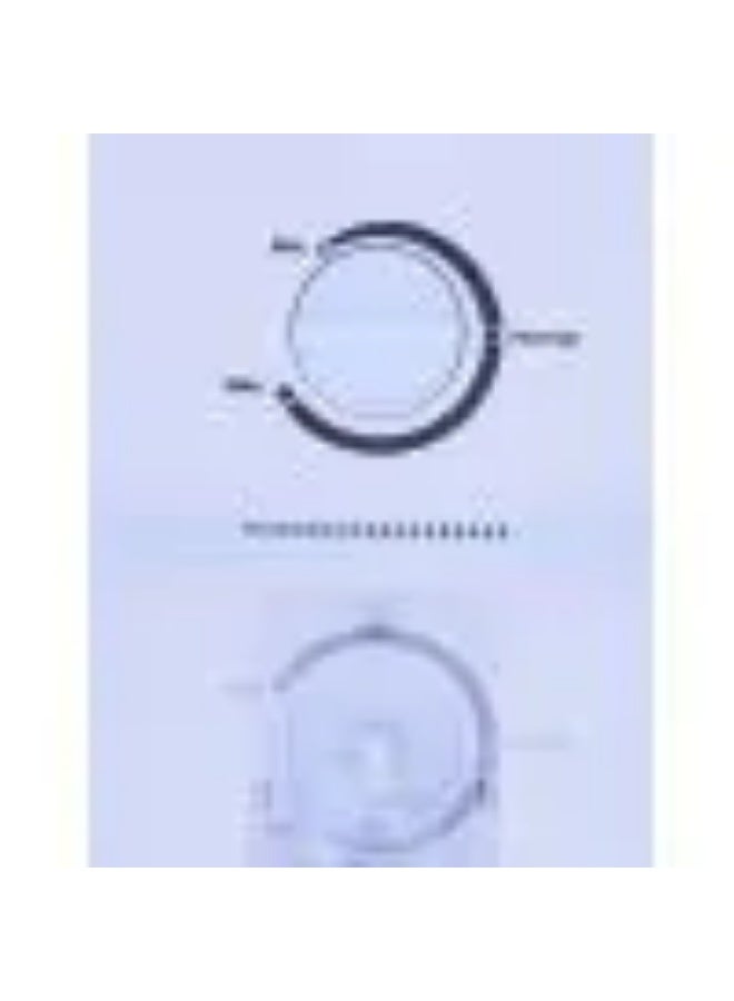 Fresh No Frost Refrigerator, 329 Liters, Black - FNT-BR 370 BB 500018460 - Image 3