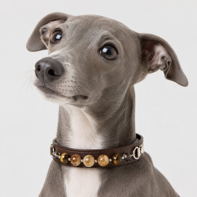 Hot-Selling Multi-Color Crystal Pet Collar - DIY Princess Style Necklace for Cats