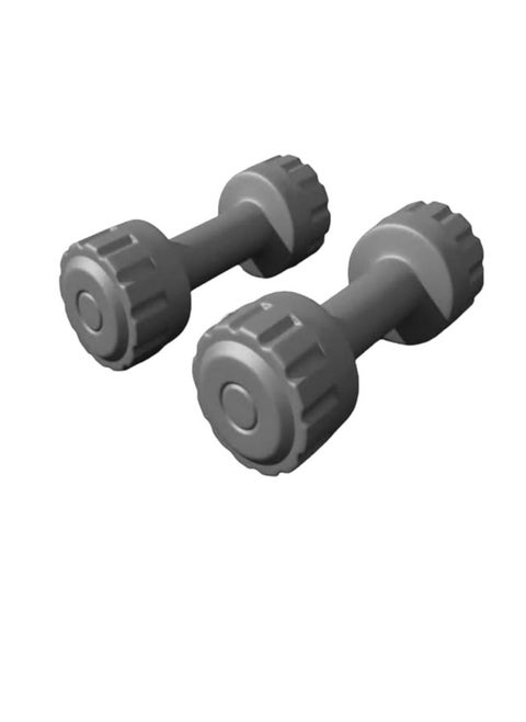 PVC Dumbbells (2 pieces, 5 kg each)
