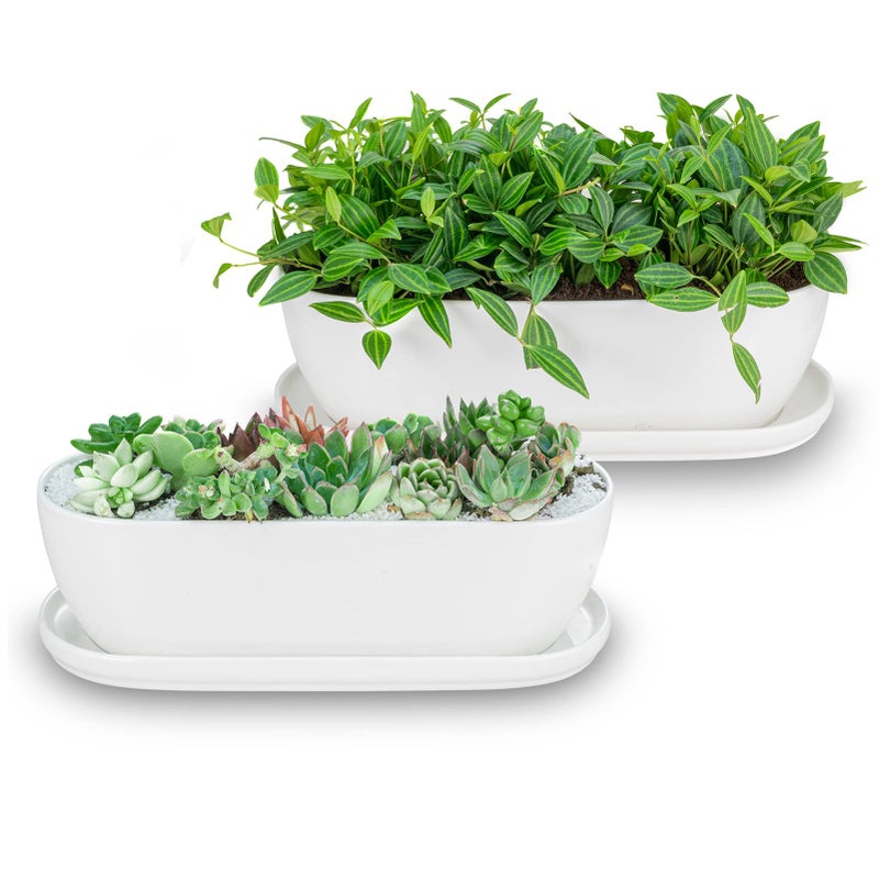 Eliu Ceramic Plant Pots 1114 inch Set of 2 Planters with Drainage Holes Saucers and Mesh Pads Indoor Flower Succulent Pot with Hole Mesh Pad Gifts for Mom Plants Not Included