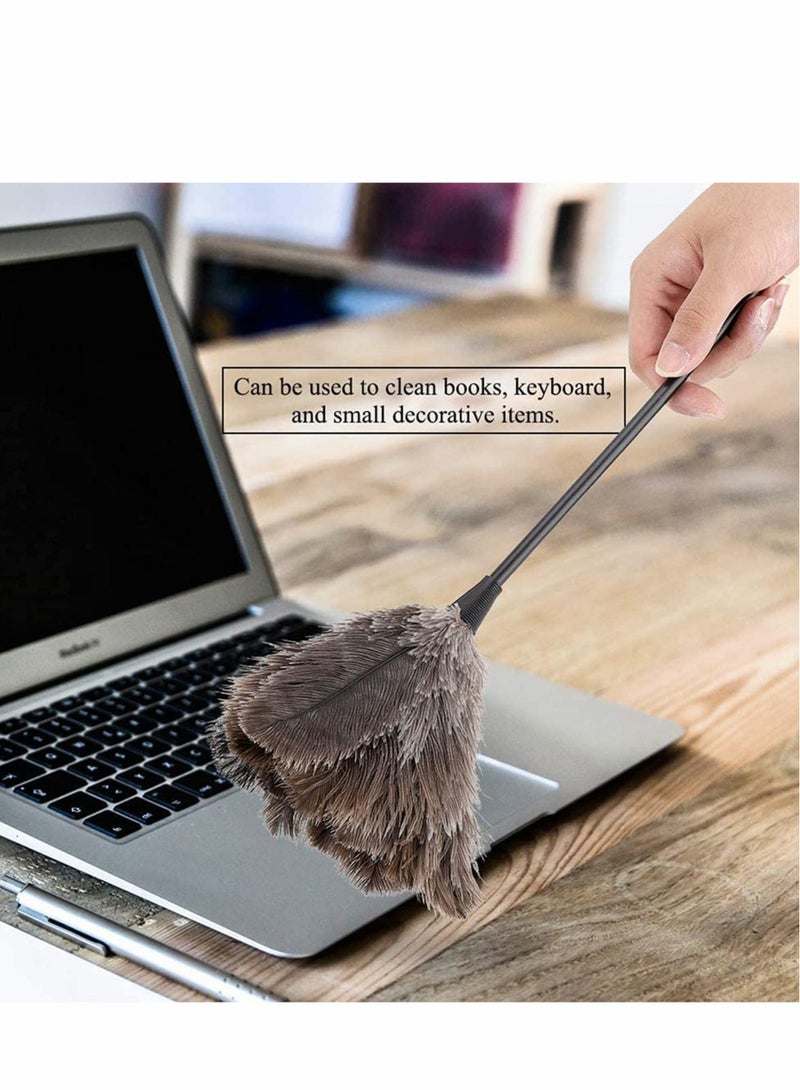 Excefore Ostrich Feather Duster Real Feather Duster, Soft Washable Flexible Bendable for Dust Cleaning, Interior Roof, Ceiling Fan - Image 3