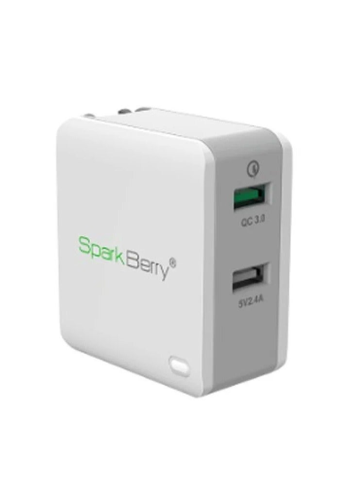 Spark Berry 2-Port Wall Charger, 30W (Black and White) - Image 4