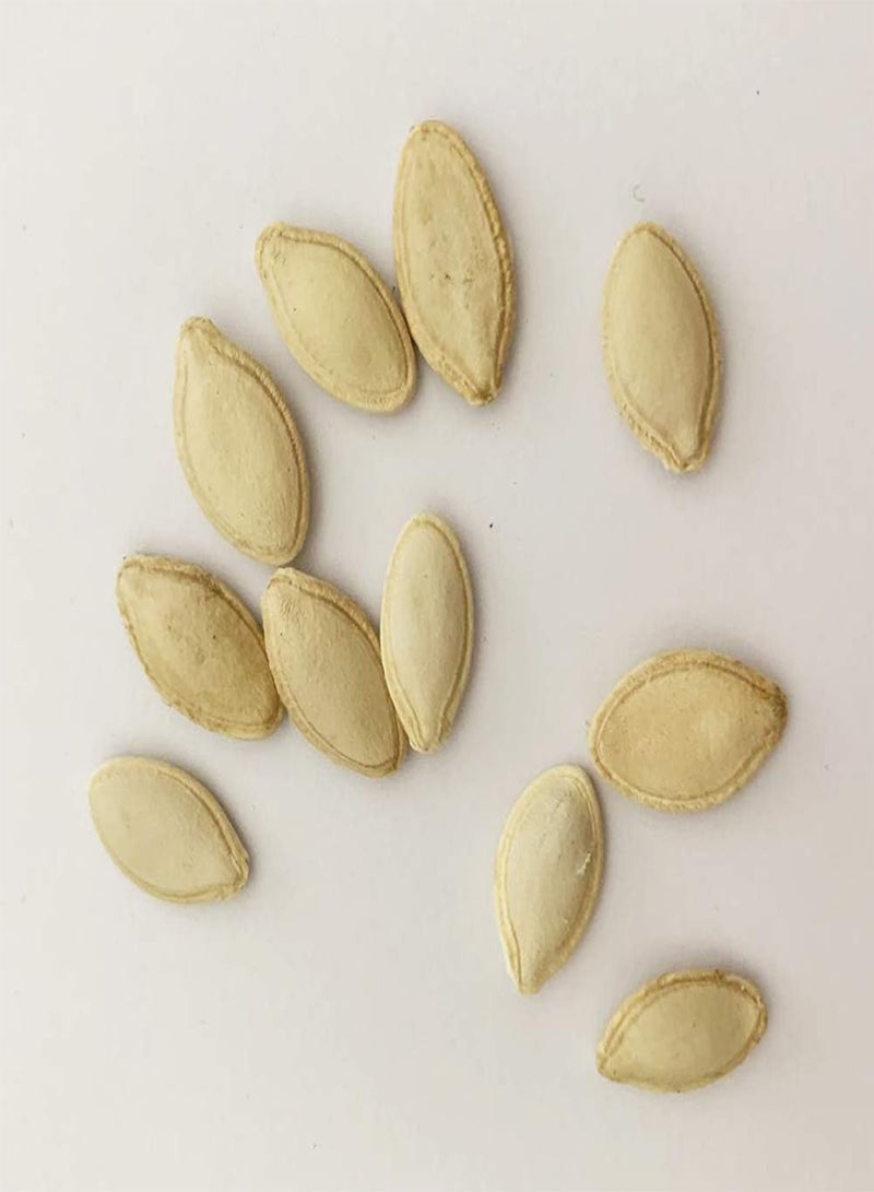 GGOOT 20 Pink Pumpkin Seeds High Germination Rate Easy to Cultivate for Home Garden Yard Growing Nutrient-Rich Vegetable Plants for Garden Home Farming Pumpkin Seeds One Size - Image 2