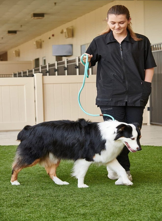 GROOMER ESSENTIALS - Heavy Duty Slip - 6" L x 1/2" W - Turquoise-Turquoise Heavy Duty Slip Leads for Dogs - Sturdy Slip Leash for Dogs - Durable Slip Lead for Training and Walking - Image 2
