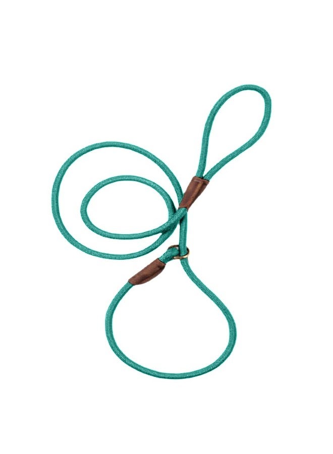 GROOMER ESSENTIALS - Heavy Duty Slip - 6" L x 1/2" W - Turquoise-Turquoise Heavy Duty Slip Leads for Dogs - Sturdy Slip Leash for Dogs - Durable Slip Lead for Training and Walking - Image 1