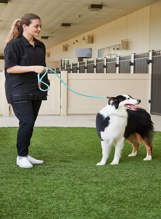 GROOMER ESSENTIALS - Heavy Duty Slip - 6" L x 1/2" W - Turquoise-Turquoise Heavy Duty Slip Leads for Dogs - Sturdy Slip Leash for Dogs - Durable Slip Lead for Training and Walking - Image 3