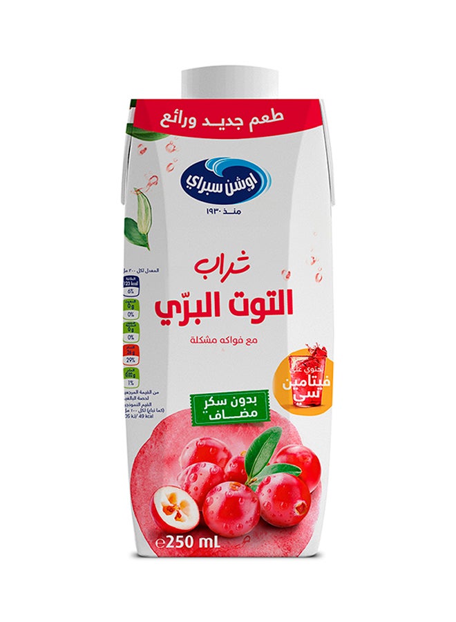 Ocean Spray Cranberry Mixed Fruit Drink With No Added Sugar 250ml - Image 2