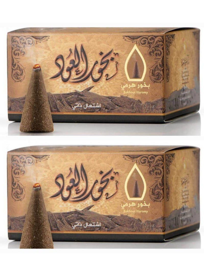 سدر الخليج بخور العود بتصميم هرمي بني 50 جرام مكون من قطعتين 