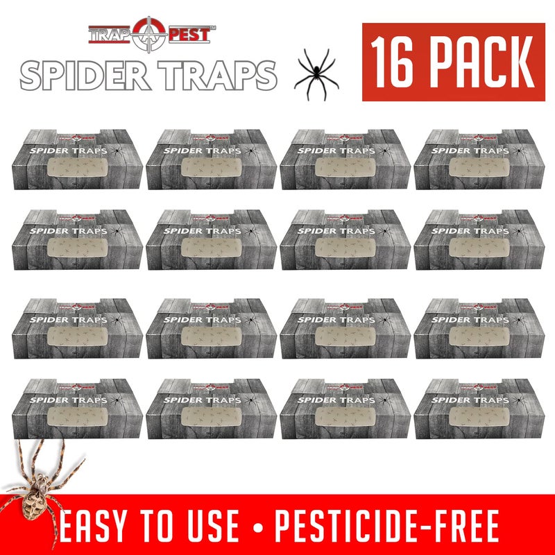 TRAP A PEST Spider Traps for Inside Your Home (16 Traps) - Spider Catcher Insect Traps Indoor - Spider Traps Indoor Bug Traps Sticky Traps for Spiders - Pre Baited Ultra Sticky Insect Glue Traps - Trap a Pest - Image 4