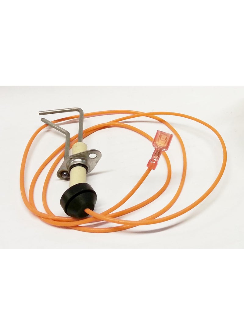 Rheem RheemRuudProtech 622416403 Direct Spark Ignitor DSI 