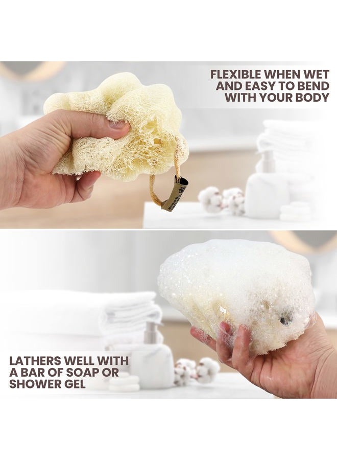 Almooni Mini Natural Loofah Sponge - Real Egyptian Shower Exfoliating Loofah - Small Loofah Scrubber for The Perfect Grip - 3 Count(1 Pack) - Image 3