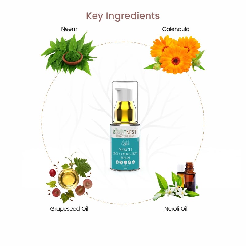 Rootnest Skin care kit with Green Tea Anti Ageing serum for face  Neroli Spot Correction serum for face Skin Brightening serum for face  30ml - Image 5