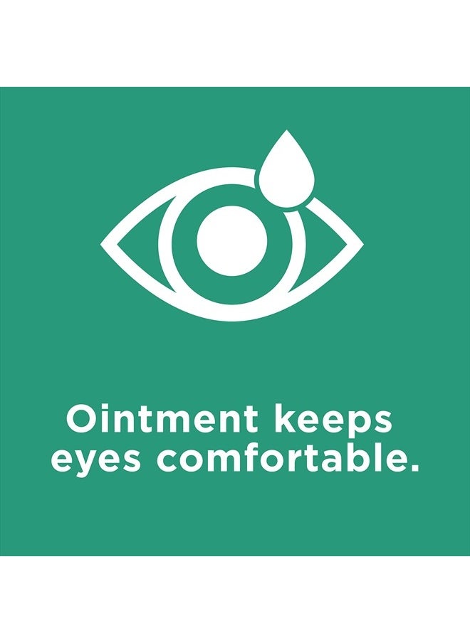 Nighttime Lubricant Eye Ointment 3.5G Tube - pzsku/Z16788FA6256D1E7F8145Z/45/_/1718186911/4de89fe3-29b7-4135-a8e8-cb493c15178c