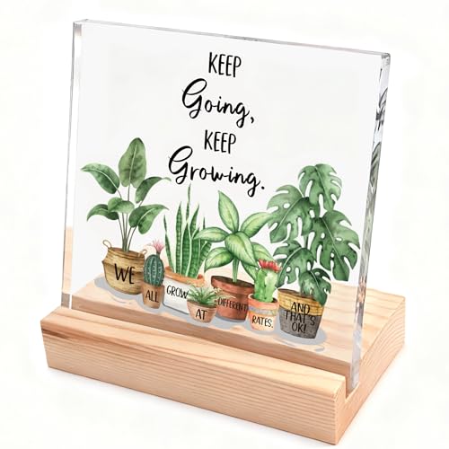 Olicard Inspirational Christmas Gifts for Women, Girl, Motivational Desk Decor for Dorm, Office, Cubicle, Classroom Teacher Desk Decor, Cheer Up Gift for Coworker Friends - Image 1