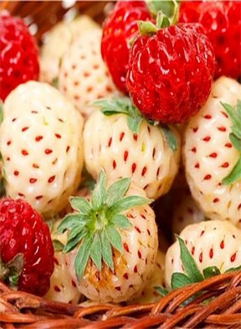 GGOOT 200pcs White Red Two Varieties Mixed Strawberry Seeds for Planting The Fruit is Small Cute Green Leaf Can Be Used to Decorate The Garden - Image 2