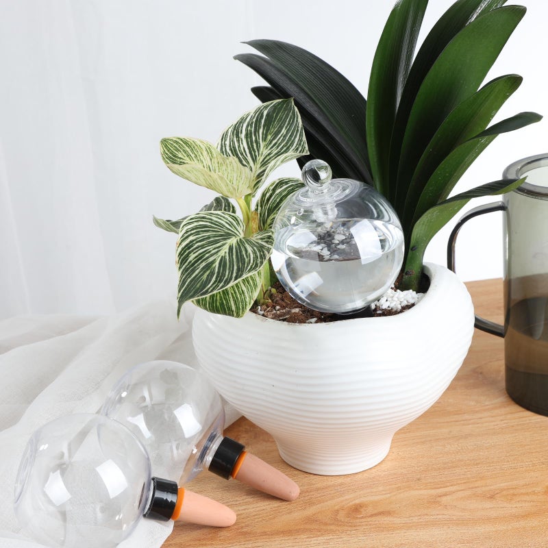 Ansberta 4 Pack Plant Watering Globes with Covers 17oz Self Watering Planter Insert, Plastic Water Bulbs, Indoor/Outdoor Plant Watering Devices for Automatic Drip Irrigation - Image 2