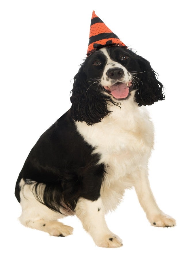 Rubies Costume Halloween Classics Collection Pet Costume, Medium to Large, Orange and Black Witch Hat - Image 1