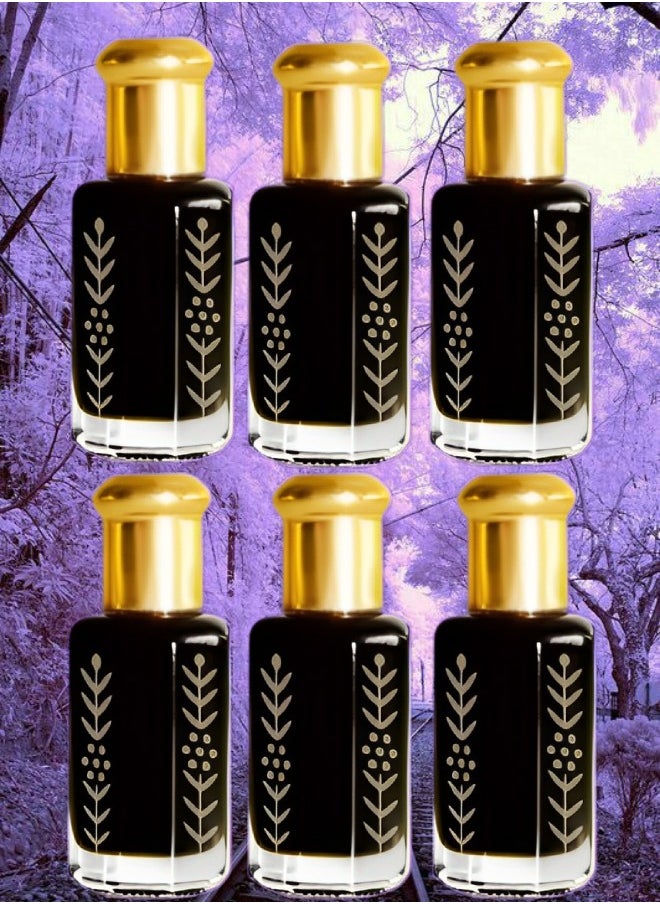 مسك 6 قطع عطر زيت المسك الأسود 3 مل 