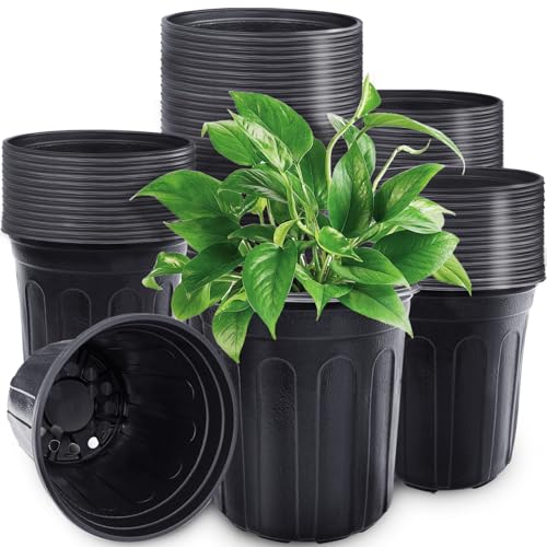 Pynqdfu 60 Pcs 1 Gallon Plant Nursery PotsPlastic Seed Starter Pot with Drainage HolesPlastic Plant Pots for PlantingCuttingsTransplantingHome GardenBlack - Image 1