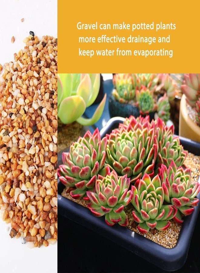 Anothera 3lb Coarse Sand Stone-Succulents and Cactus Bonsai DIY Projects Rocks,Decorative Gravel for Plants and Vases Fillers,Terrarium,Fairy Gardening,Natural Stone Top Dressing for Potted Plants (2mm-4mm) - Image 2