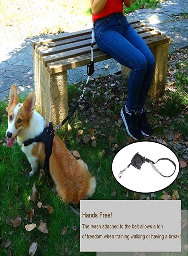 Alipis Automatic Retractable Dog Leash Retractable Dog Leash Walking, Hands Pet Telescopic Traction Rope Belt for Running Jogging Hiking (Black) Pet Training - Image 3