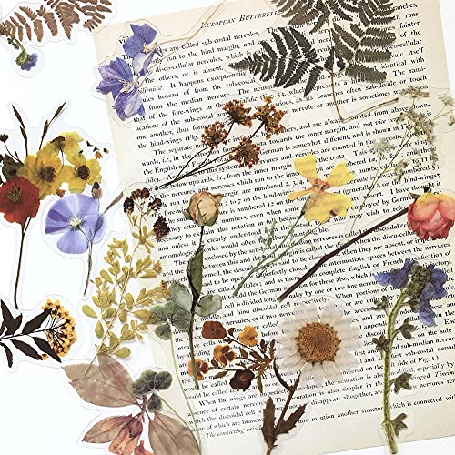1000Art Flower Plant Stickers Set (120PCS) - PET Transparent Decorative Sticker for Scrapbooking Planner Journaling Wrapping DIY Crafts Cards Album Water Bottles Phone Cases Laptops - Image 2
