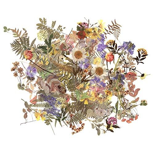 1000Art Flower Plant Stickers Set (120PCS) - PET Transparent Decorative Sticker for Scrapbooking Planner Journaling Wrapping DIY Crafts Cards Album Water Bottles Phone Cases Laptops - Image 1