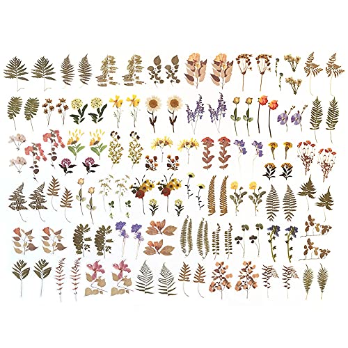 1000Art Flower Plant Stickers Set (120PCS) - PET Transparent Decorative Sticker for Scrapbooking Planner Journaling Wrapping DIY Crafts Cards Album Water Bottles Phone Cases Laptops - Image 4