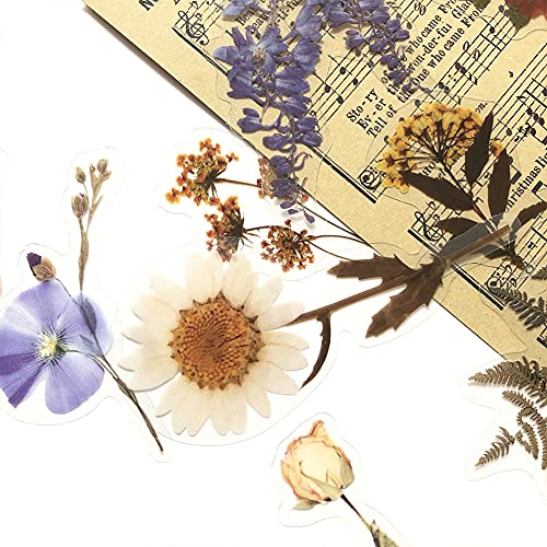 1000Art Flower Plant Stickers Set (120PCS) - PET Transparent Decorative Sticker for Scrapbooking Planner Journaling Wrapping DIY Crafts Cards Album Water Bottles Phone Cases Laptops - Image 5