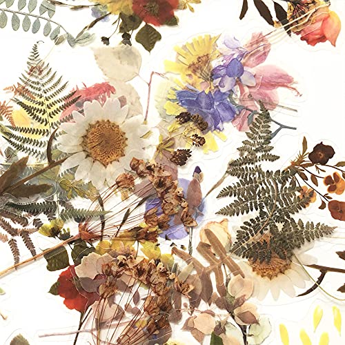 1000Art Flower Plant Stickers Set (120PCS) - PET Transparent Decorative Sticker for Scrapbooking Planner Journaling Wrapping DIY Crafts Cards Album Water Bottles Phone Cases Laptops - Image 3