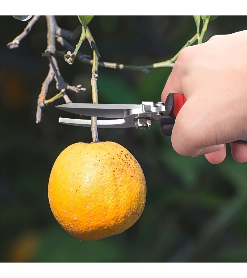 2pcs Pruning Shears Set Straight and Curved for Trimming Garden Branches Flowers Thick - Image 4