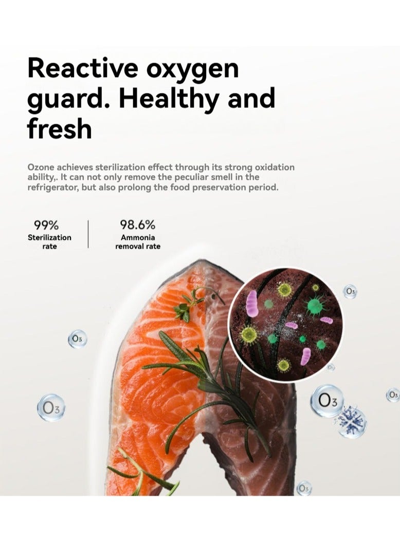 M MIAOYAN Rechargeable Refrigerator Deodorizer with UV & Ozone Sterilization – Fast Odor Removal & Fresh Food Preservation - Image 3