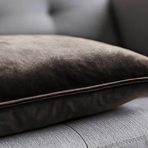 Blue Monkey Soft Velvet Cushion Cover Soft Throw Pillow Cover Pack of 2, Solid Square Cushion Case (12x18, Brown) - Image 2