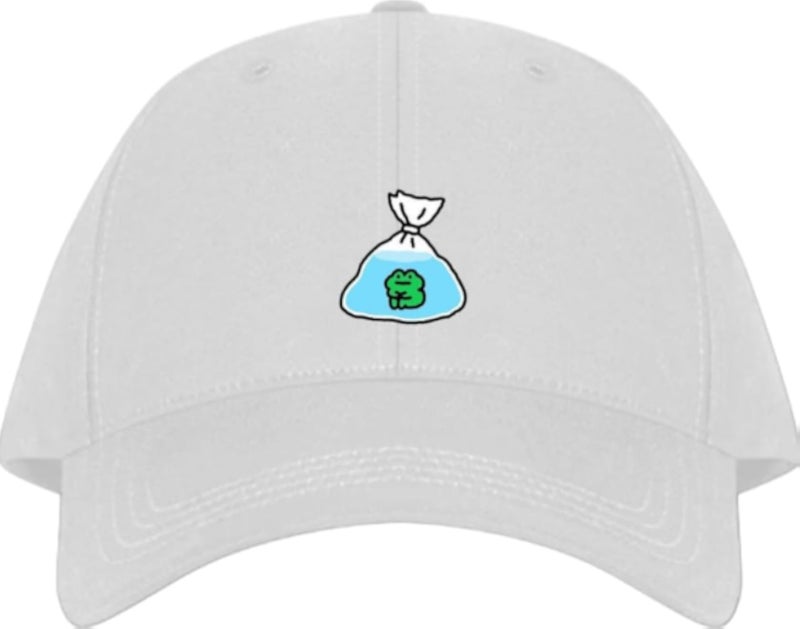 Frog Plain unisex baseball cap White 19