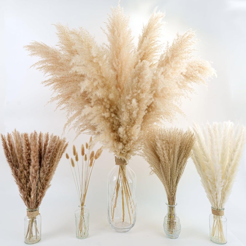 YOJOYI Decorative Tall Pampas Grass for Floor Vase – Premium Large Pampas Grass Decor Tall, 17"-40" Pampas Grass Stems, Dried Pampas Grass Decor Tall, Natural Pampas Grass with Beige Decor and Boho Feathers - Image 2