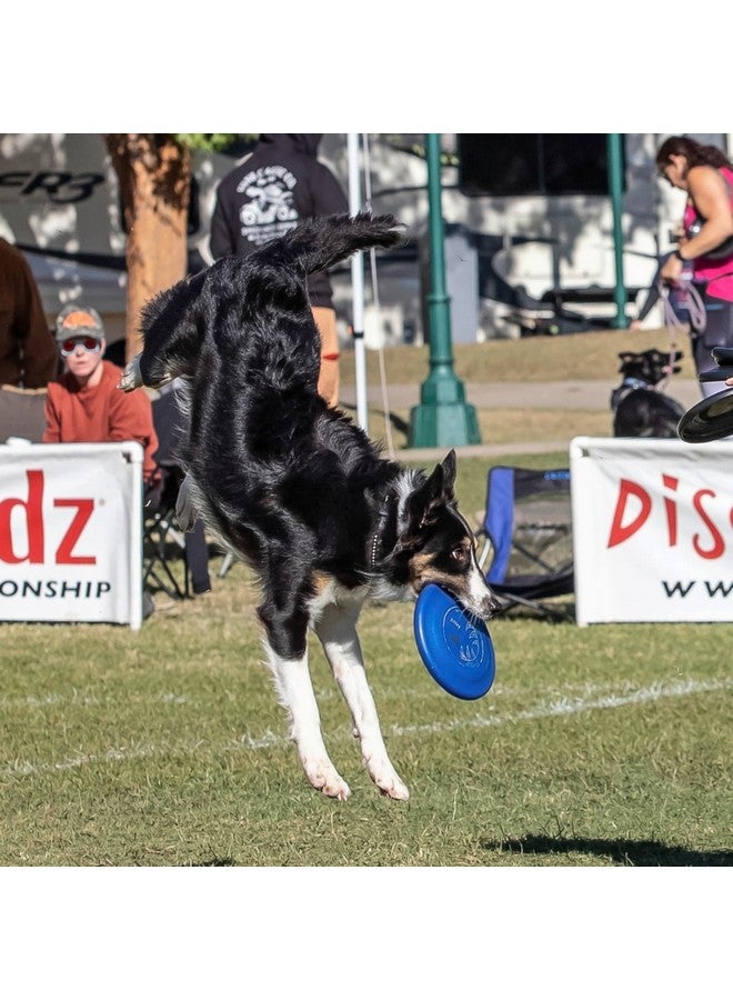 هايبر فلايت قرص الكلب Hyperflite K-10 Pup Jawz (توت أزرق) - Image 3