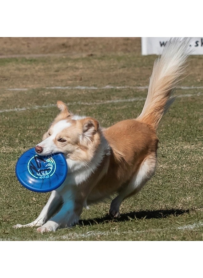 هايبر فلايت قرص الكلب Hyperflite K-10 Pup Jawz (توت أزرق) - Image 5