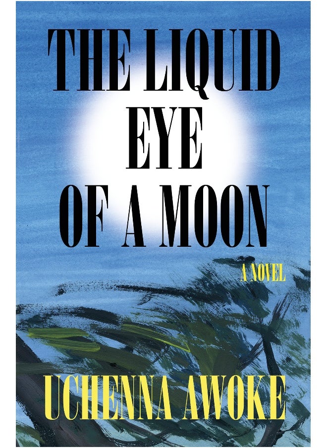 The Liquid Eye of a Moon 